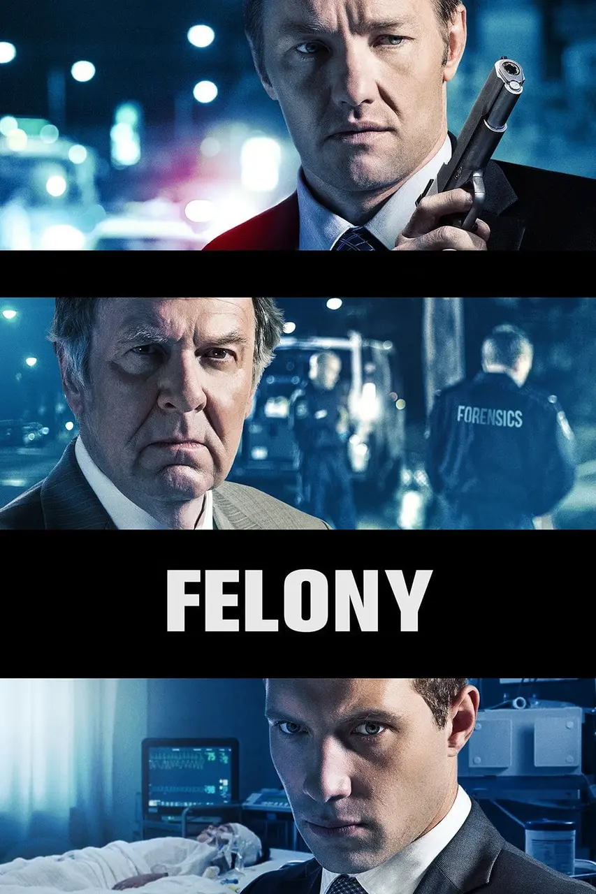 Xem Phim Felony Vietsub HD Online - Rophim