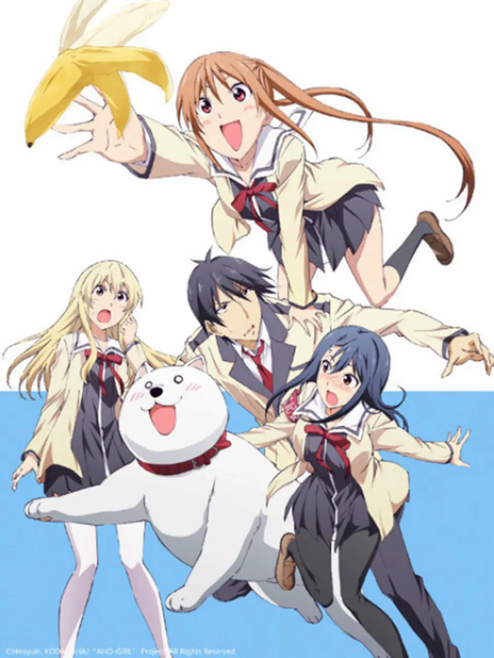 Xem Phim Cô Nàng Ngốc – Aho Girl Vietsub HD Online - Rophim