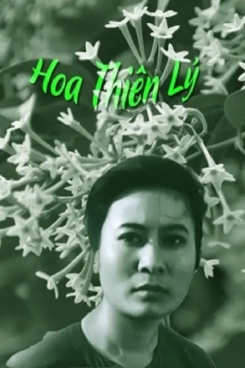 Xem Phim Hoa Thiên Lý Vietsub HD Online - Rophim