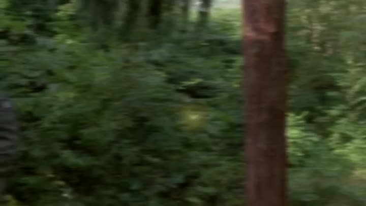 Stargate SG-1 (Phần 4) 9 Tập 19 phim Stargate SG-1 (Phần 4)