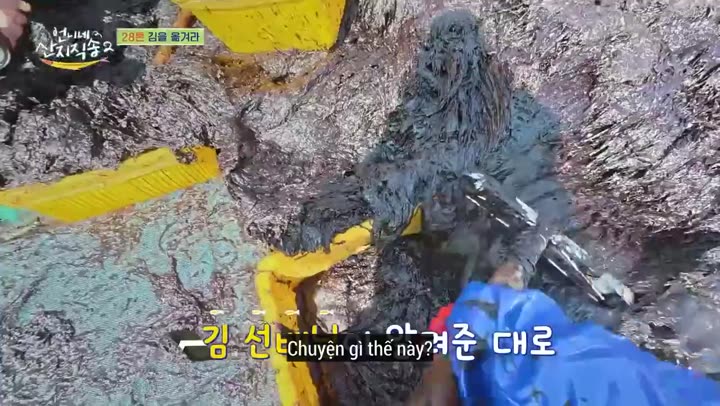 Hương Vị Của Biển (Phần 2) 9 Tập 5 phim Hương Vị Của Biển (Phần 2)