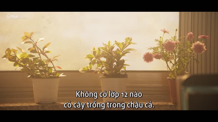 Chuyện Tình Nàng Pháp Sư 9 Tập 12 phim Chuyện Tình Nàng Pháp Sư