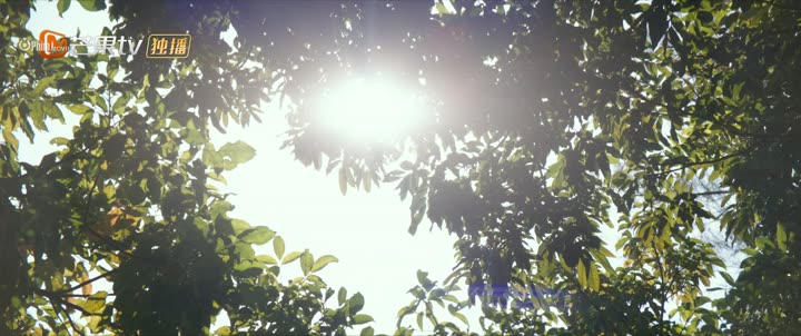 Đôi Mắt Thâm Tình 10 Hình ảnh tập 12 Đôi Mắt Thâm Tình