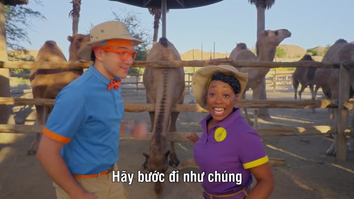 Blippi đi làm (Phần 2) 9 Tập 1 phim Blippi đi làm (Phần 2)