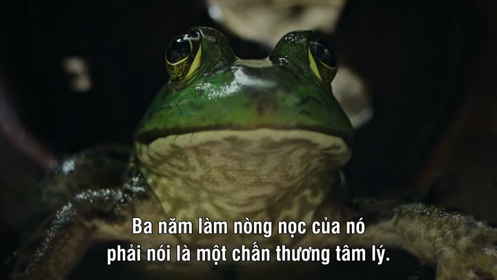 Ác Mộng Của Thiên Nhiên 9 Tập 1 phim Ác Mộng Của Thiên Nhiên