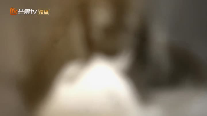 Thư Sinh Mèo Báo 9 Tập 2 phim Thư Sinh Mèo Báo