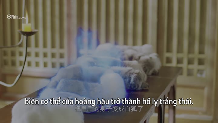 Hồ Yêu Hoàng Tẩu 9 Tập 6 phim Hồ Yêu Hoàng Tẩu