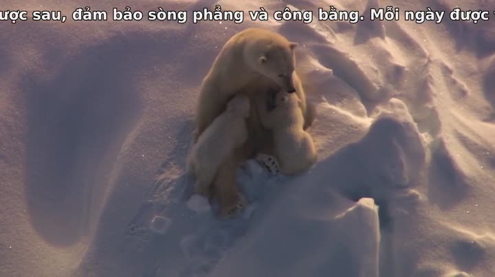 Hành Tinh Băng Giá 9 Tập 2 phim Hành Tinh Băng Giá