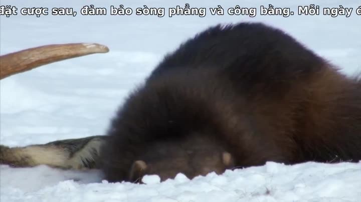 Tập 5 phim Hành Tinh Băng Giá