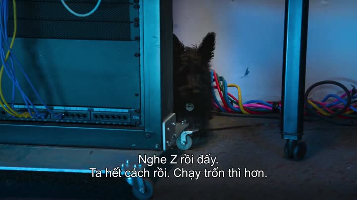 Tập 1 phim Super PupZ: Những chú cún siêu năng