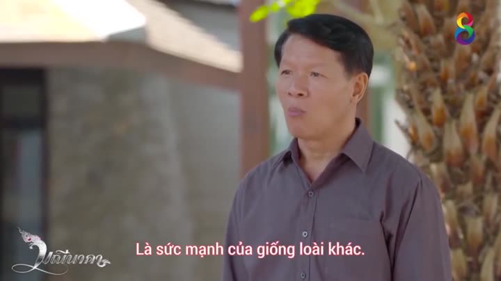 Chuyện Tình Xà Nữ 10 Hình ảnh tập 13 Chuyện Tình Xà Nữ