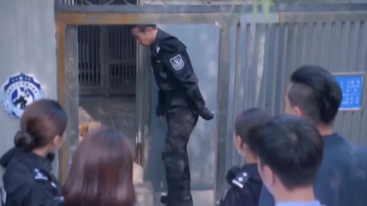 Hoa Khôi Và Cảnh Khuyển 9 Tập 5 phim Hoa Khôi Và Cảnh Khuyển