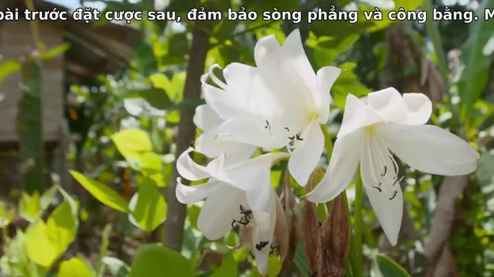 Câu chuyện của một thế hệ - với Giáo hoàng Francis 10 Hình ảnh tập 2 Câu chuyện của một thế hệ – với Giáo hoàng Francis