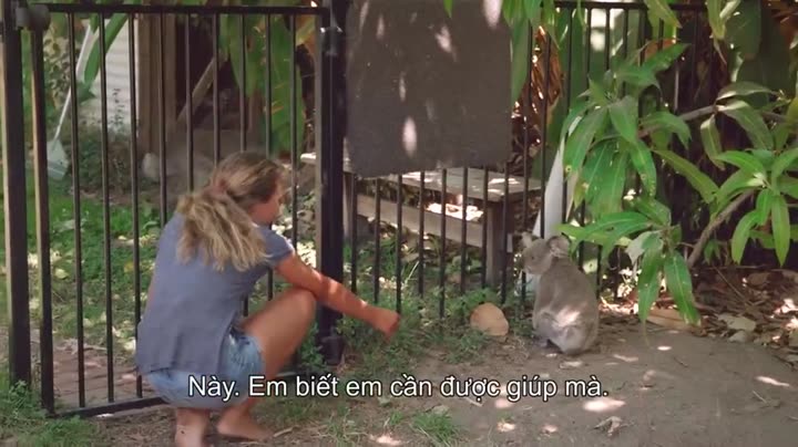 Tập 4 phim Thế giới gấu túi của Izzy (Phần 2)