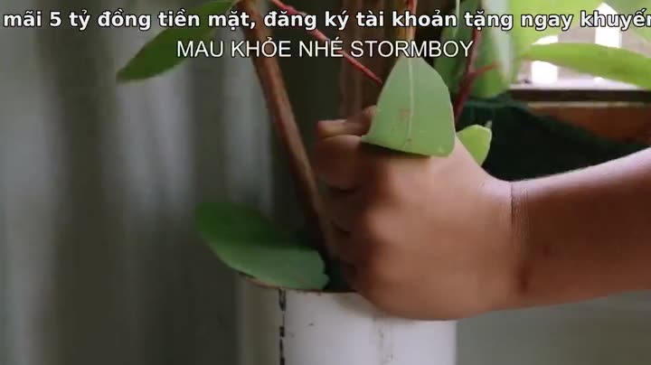 Hình ảnh tập 6 Thế giới gấu túi của Izzy (Phần 2)