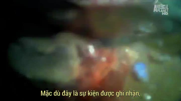 Thủy Quái (Phần 1) 9 Tập 3 phim Thủy Quái (Phần 1)