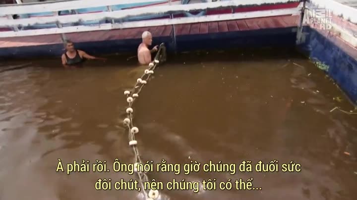Thủy Quái (Phần 1) 9 Tập 5 phim Thủy Quái (Phần 1)