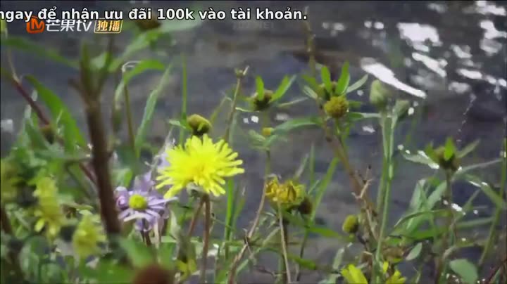 Lan Lăng Vương Phi 10 Hình ảnh tập 3 Lan Lăng Vương Phi