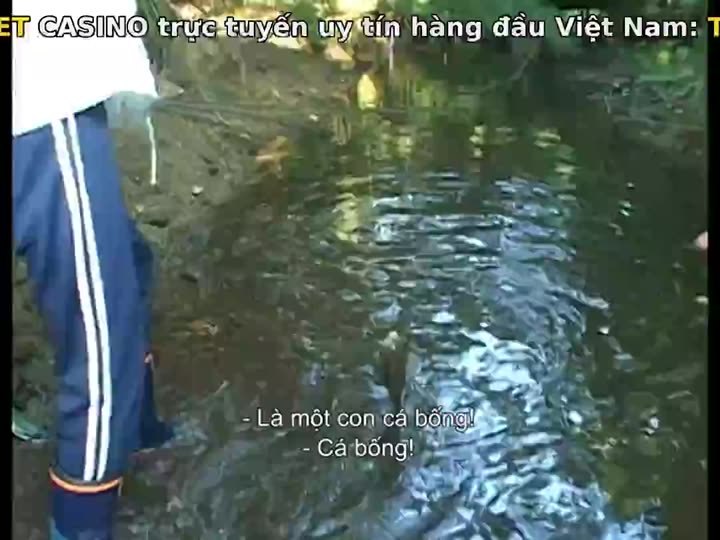 Bạn thích thư Tư của mình như thế nào? (Phần 14) 10 Hình ảnh tập 5 Bạn thích thư Tư của mình như thế nào? (Phần 14)