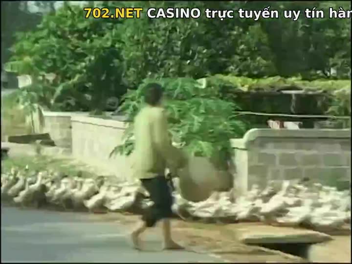 Tập 1 phim Bạn thích thư Tư của mình như thế nào? (Phần 12)