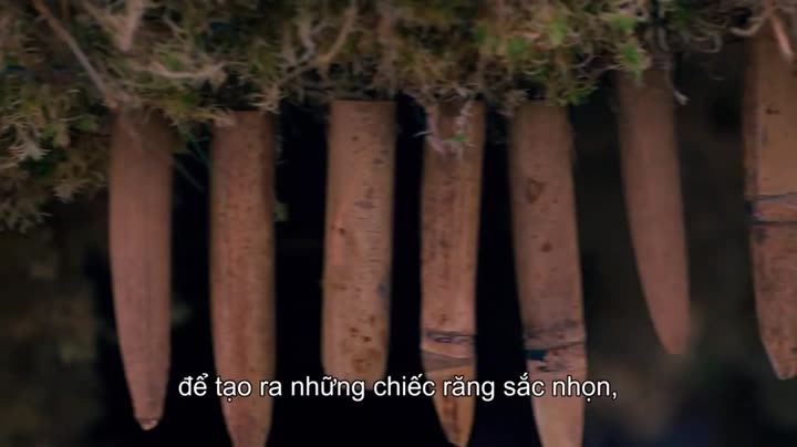 Đại chiến hoa tươi 10 Hình ảnh tập 7 Đại chiến hoa tươi