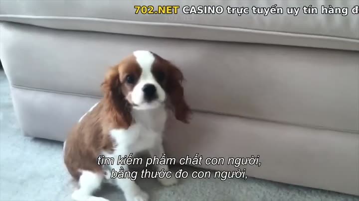 Giải mã (Phần 2) 10 Hình ảnh tập 3 Giải mã (Phần 2)