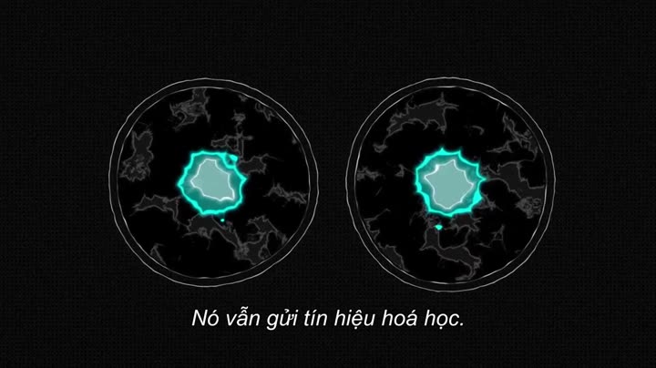 Giải mã (Phần 1) 10 Hình ảnh tập 15 Giải mã (Phần 1)