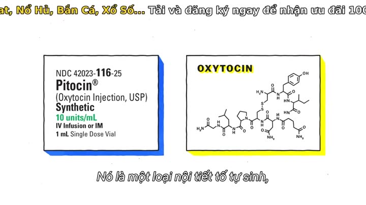Giải mã tình dục 9 Tập 5 phim Giải mã tình dục