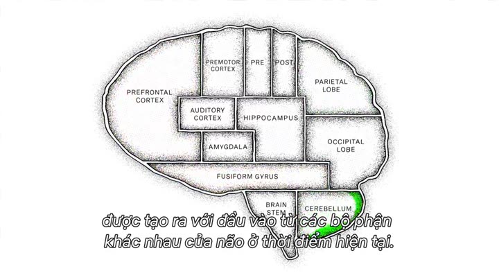Giải mã tâm trí (Phần 1) 10 Hình ảnh tập 1 Giải mã tâm trí (Phần 1)