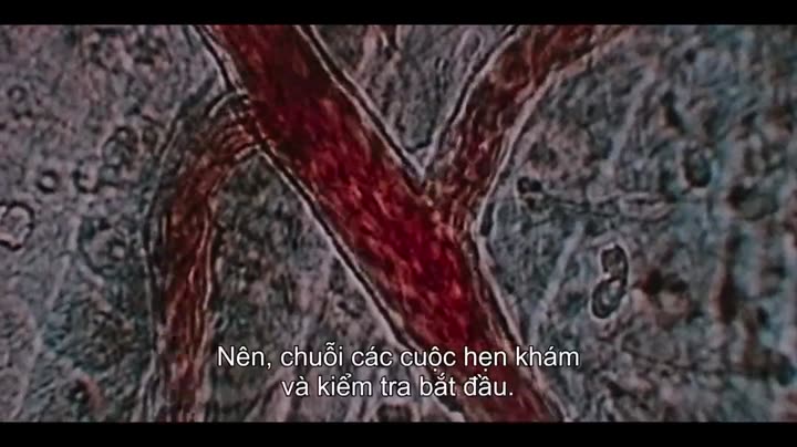 Elize Matsunaga: Tội ác ở Sao Paulo 9 Tập 1 phim Elize Matsunaga: Tội ác ở Sao Paulo