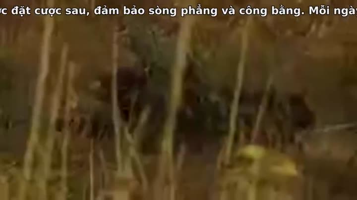 Quỷ Cốc Tử 10 Hình ảnh tập 18 Quỷ Cốc Tử