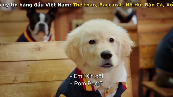 Học viện cún con (Phần 1) 9 Tập 2 phim Học viện cún con (Phần 1)