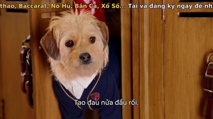 Học viện cún con (Phần 1) 9 Tập 5 phim Học viện cún con (Phần 1)