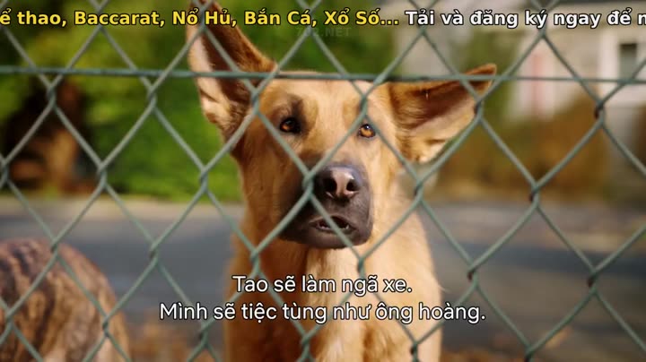Hình ảnh tập 6 Học viện cún con (Phần 1)