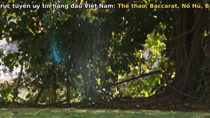 Kyra và thế giới phép thuật 9 Tập 10 phim Kyra và thế giới phép thuật