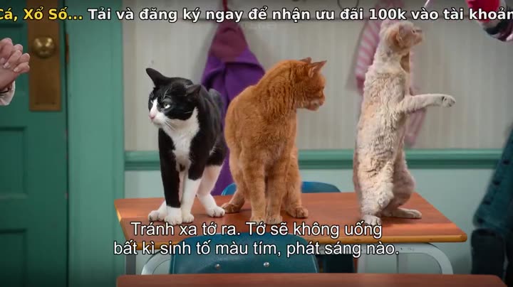 Tập 5 phim Mèo nhát