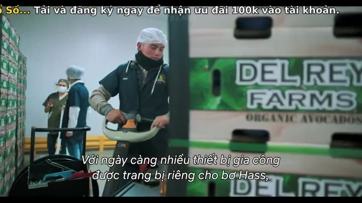 Mục ruỗng (Phần 2) 9 Tập 1 phim Mục ruỗng (Phần 2)