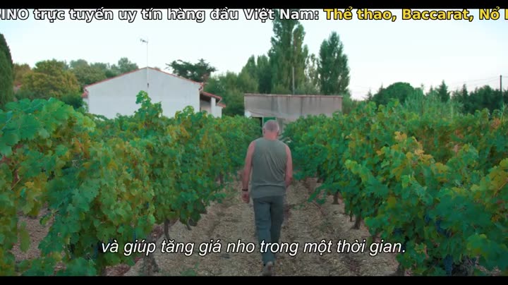 Mục ruỗng (Phần 2) 9 Tập 2 phim Mục ruỗng (Phần 2)