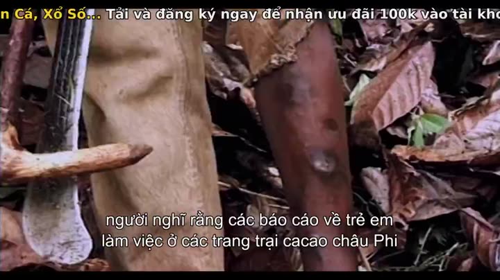 Tập 5 phim Mục ruỗng (Phần 2)