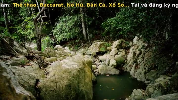 Nghệ thuật của tự nhiên (Phần 2) 9 Tập 1 phim Nghệ thuật của tự nhiên (Phần 2)