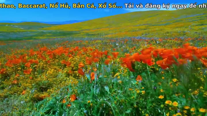 Nghệ thuật của tự nhiên (Phần 1) 9 Tập 2 phim Nghệ thuật của tự nhiên (Phần 1)
