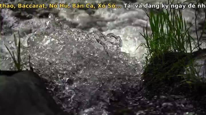 Nghệ thuật của tự nhiên (Phần 1) 9 Tập 5 phim Nghệ thuật của tự nhiên (Phần 1)