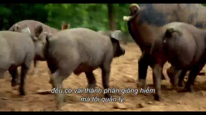Nghệ thuật nấu ăn 10 Hình ảnh tập 1 Nghệ thuật nấu ăn