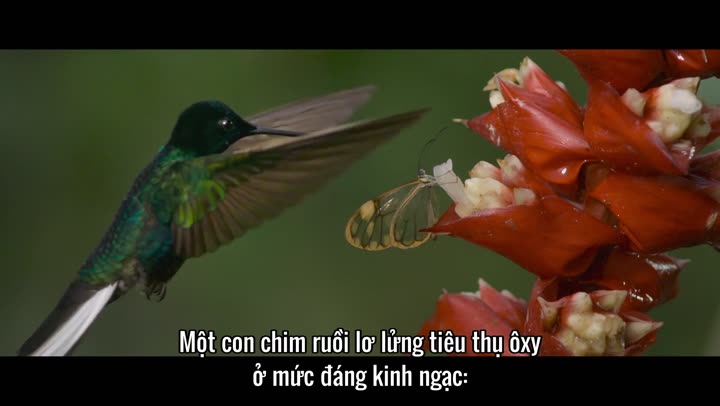 Tập 3 phim Những hành tinh khác