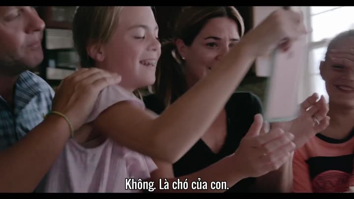 Những chú chó 9 Tập 1 phim Những chú chó