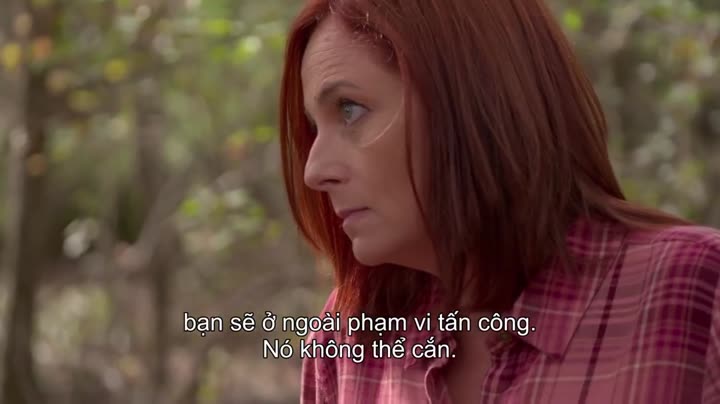Sinh tồn phương Nam 9 Tập 5 phim Sinh tồn phương Nam