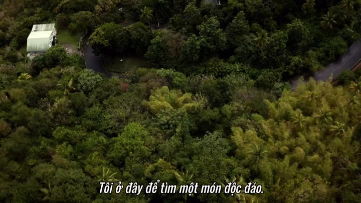 Tái khởi động nhà hàng trong mơ 9 Tập 6 phim Tái khởi động nhà hàng trong mơ