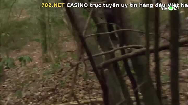 Phi Hổ 1 10 Hình ảnh tập 3 Phi Hổ 1
