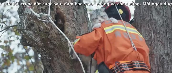 Xin Chào, Hỏa Diễm Lam 10 Hình ảnh tập 5 Xin Chào, Hỏa Diễm Lam