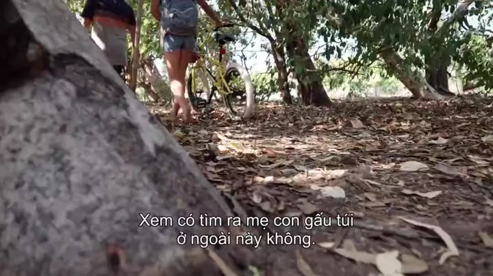 Thế giới gấu túi của Izzy (Phần 1) 9 Tập 2 phim Thế giới gấu túi của Izzy (Phần 1)